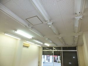 ˃}VPeX005.JPG